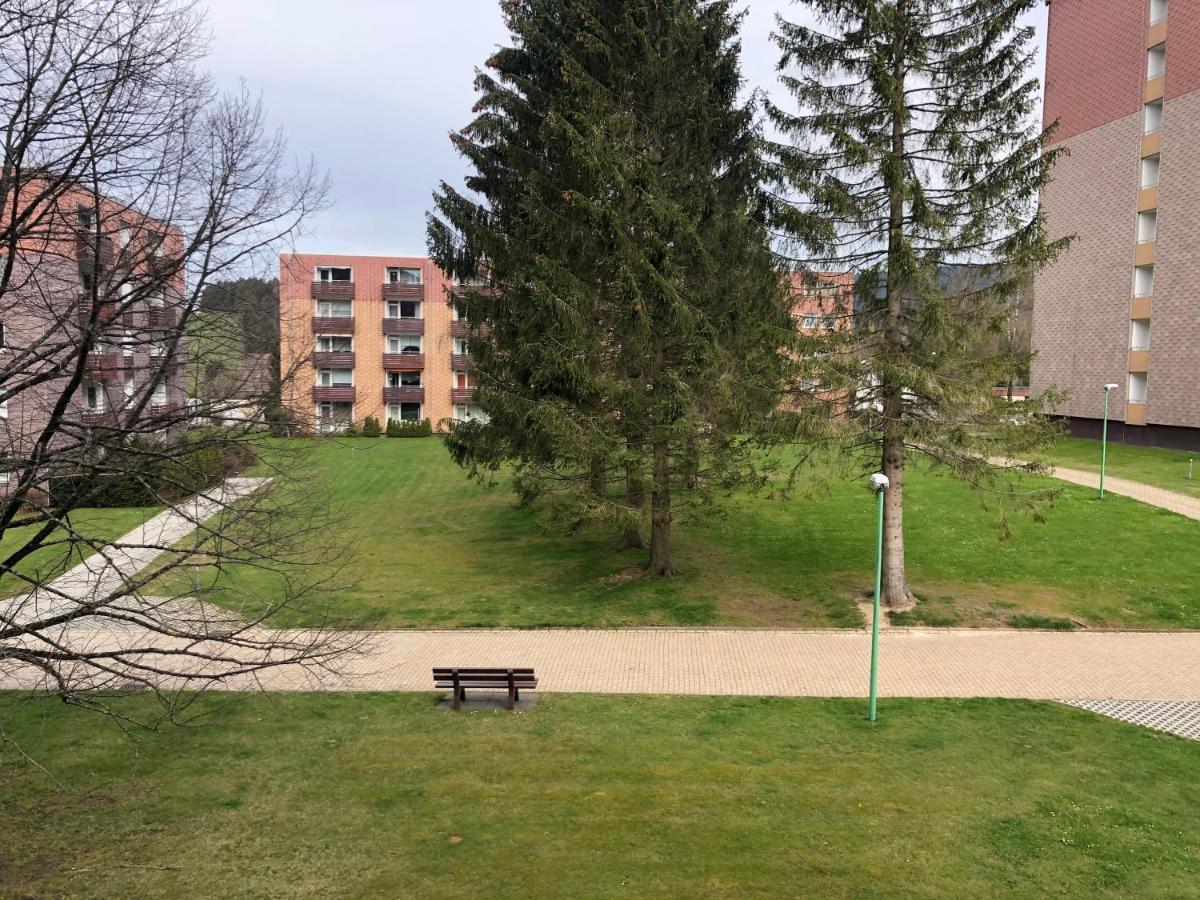 Hans Im Glueck Altenau  Kültér fotó